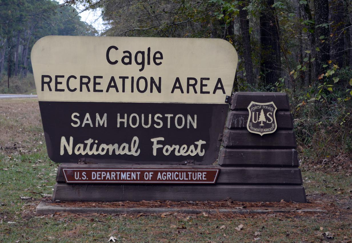 Sam Houston National Forest