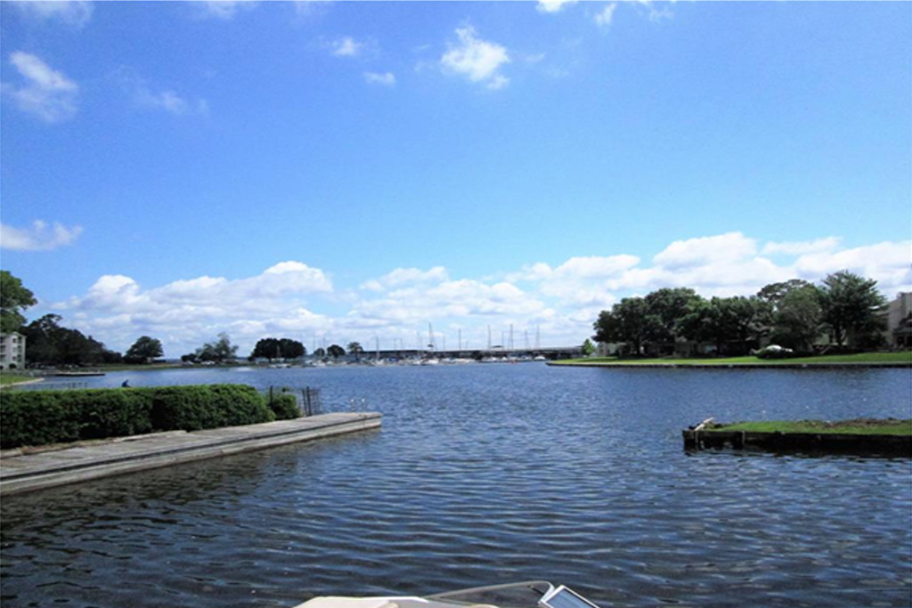 dock in front of a home